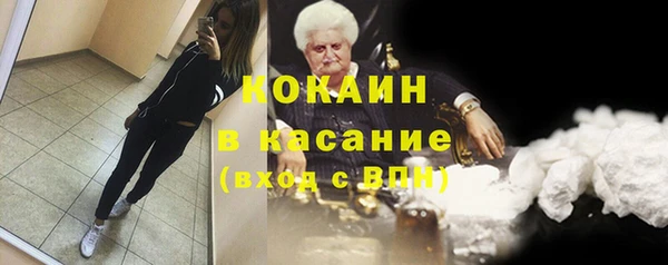 ПСИЛОЦИБИНОВЫЕ ГРИБЫ Богданович