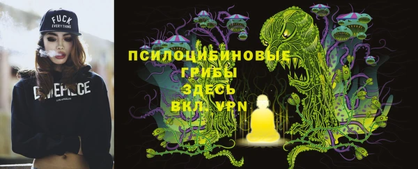 СК Бронницы