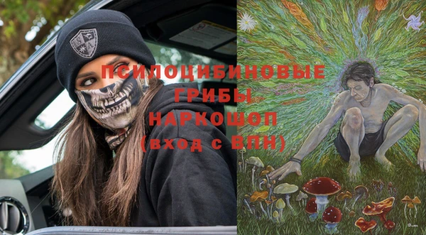 экстази Дмитриев