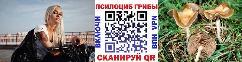 Галлюциногенные грибы GOLDEN TEACHER  ссылка на мегу онион  Новый Оскол 